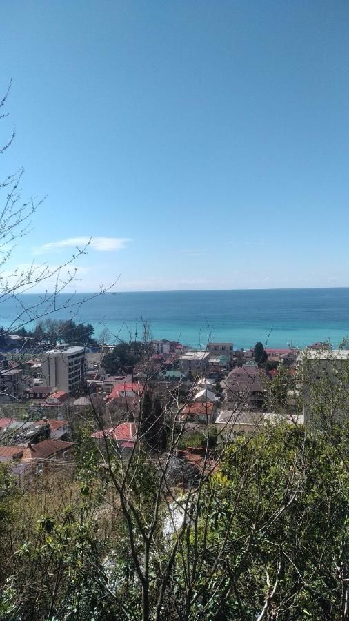 Гостевой дом Отдых у Анаиды Гагра-13