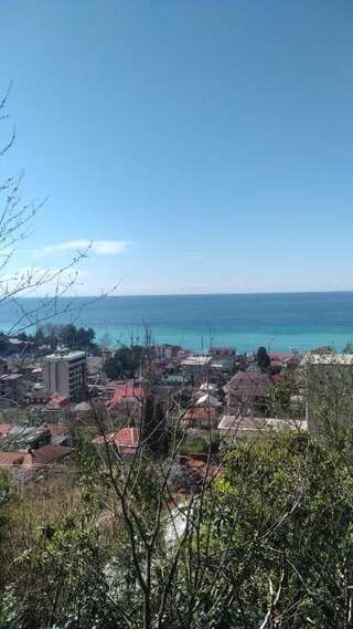 Гостевой дом Отдых у Анаиды Гагра Двухместный номер с 1 кроватью и балконом, вид на море-20